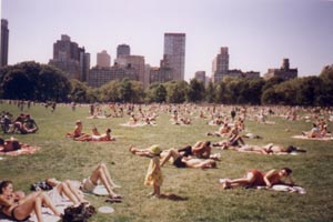 Nyri nyugi a Central Park-ban foto: cs Emese