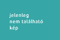 kép a filmből